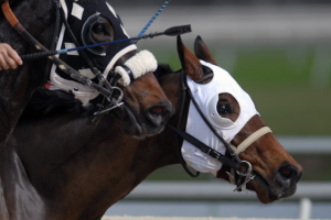 Everything you need to know about Royal Ascot 2024